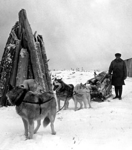 Gus Masik and his dogs at his home on Sandspit Island near Martin Point, Alaska